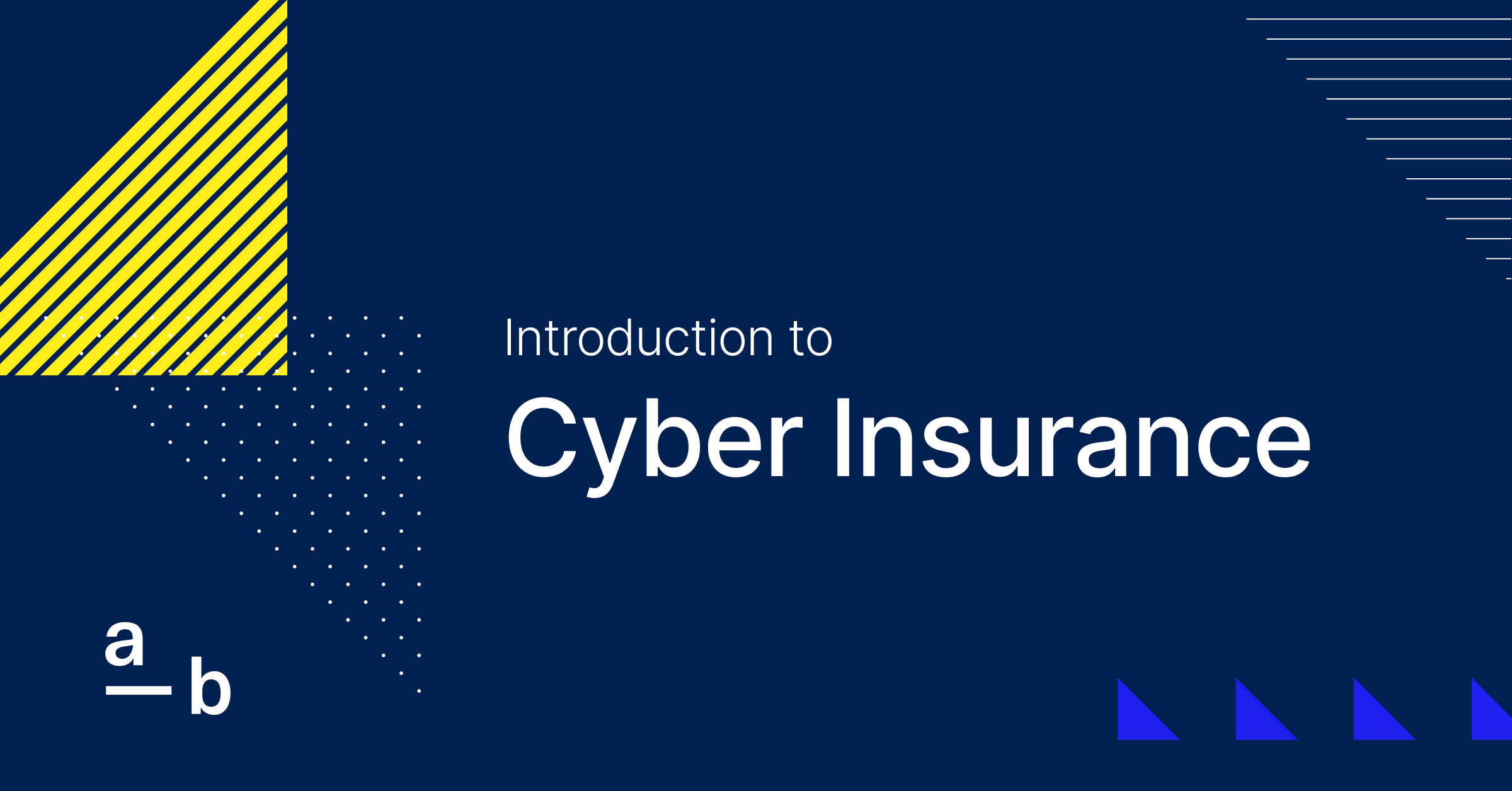 Introduction to Cyber Insurance