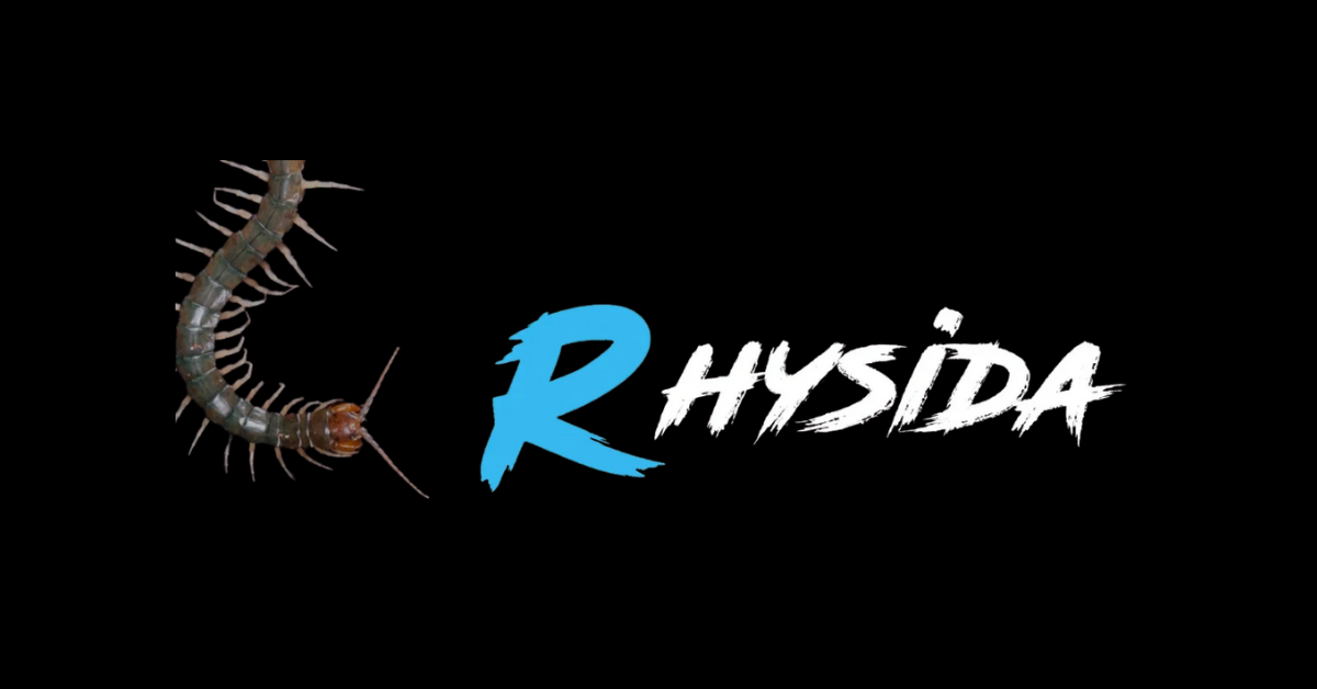 Rhysida: Evading Detection, One Service at a Time