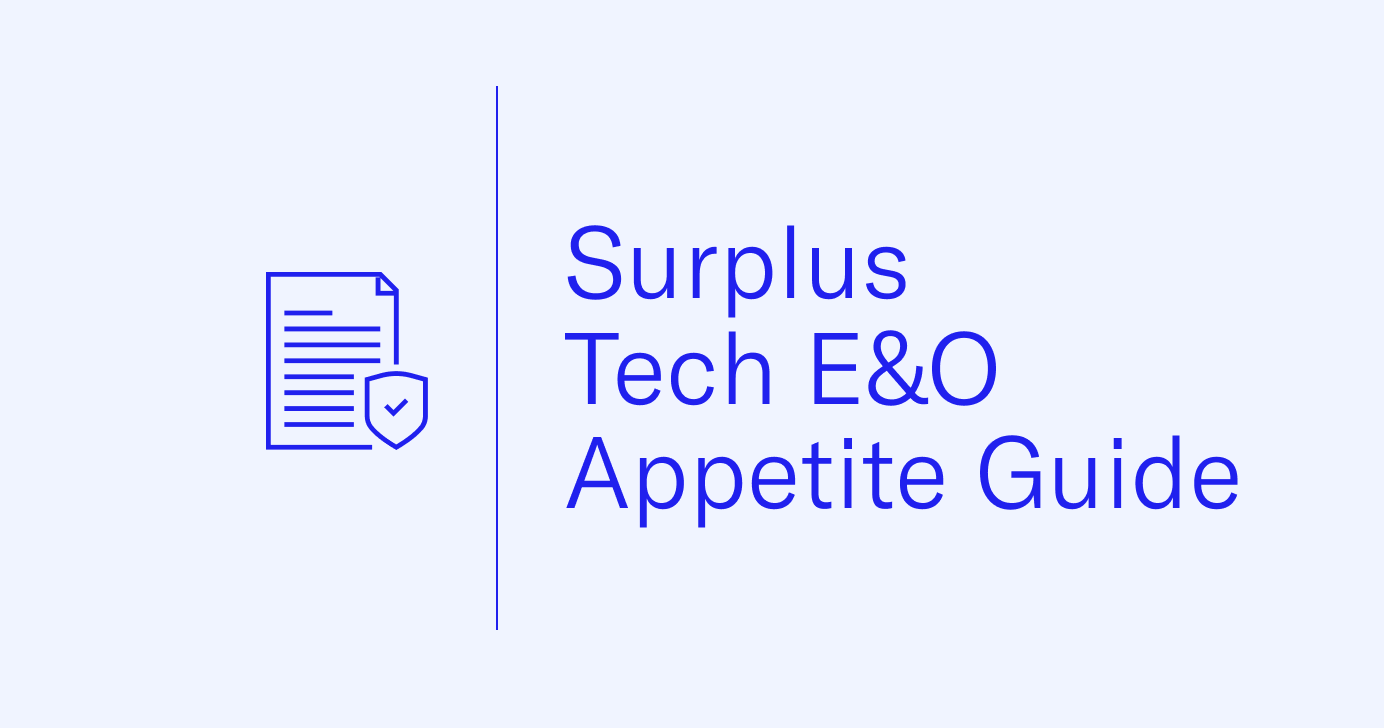 Surplus Tech E&O Appetite Guide